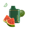 Saltica Watermelon Ice 6000 Disposable Vape Bar